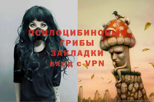 соль ск Киреевск