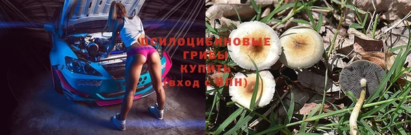 трава Киренск