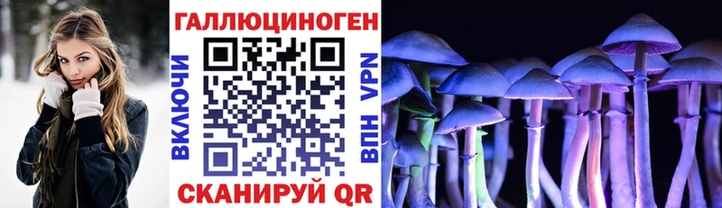 Купить  Кедровый  Псилоцибиновые грибы мицелий 